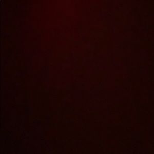 Meet your Posher, Lilly